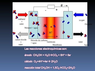 Metanol + agua Dióxido de carbono + agua Membrana Agua Oxígeno 