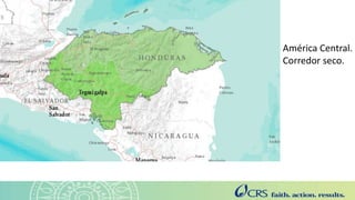 Pilar 1 | Tercer Taller de la Alianza Regional para Centro América, México y El Caribe