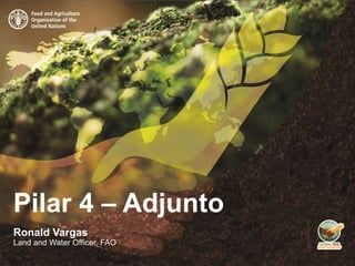 Pilar 4 – Adjunto
Ronald Vargas
Land and Water Officer, FAO
 