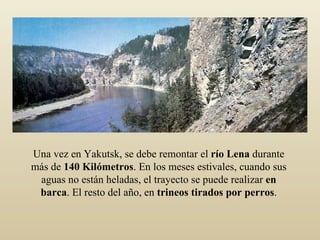 Una vez en Yakutsk, se debe remontar el  río Lena  durante más de  140 Kilómetros . En los meses estivales, cuando sus aguas no están heladas, el trayecto se puede realizar  en barca . El resto del año, en  trineos tirados por perros . 