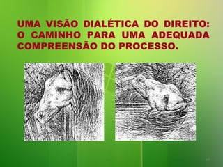 UMA VISÃO DIALÉTICA DO DIREITO:
O CAMINHO PARA UMA ADEQUADA
COMPREENSÃO DO PROCESSO.

10

 