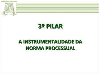 3º PILAR
A INSTRUMENTALIDADE DA
NORMA PROCESSUAL

 