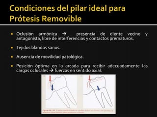  Oclusión armónica  presencia de diente vecino y
antagonista, libre de interferencias y contactos
prematuros.
 Ausencia de movilidad patológica.
 Posición óptima en la arcada para recibir adecuadamente
las cargas oclusales  fuerzas en sentido axial.
 