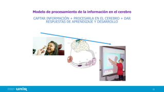 13
Modelo de procesamiento de la información en el cerebro
CAPTAR INFORMACIÓN + PROCESARLA EN EL CEREBRO + DAR
RESPUESTAS DE APRENDIZAJE Y DESARROLLO
 