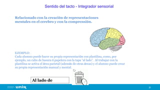20
Sentido del tacto - Integrador sensorial
Relacionado con la creación de representaciones
mentales en el cerebro y con la comprensión.
EJEMPLO:
Cada alumno puede hacer su propia representación con plastilina, como, por
ejemplo, un cubo de basura ó papelera con la tapa “al lado”. Al trabajar con la
plastilina se activa el área parietal (además de otras áreas) y el alumno puede crear
su propia representación manual y mental.
Al lado de
 