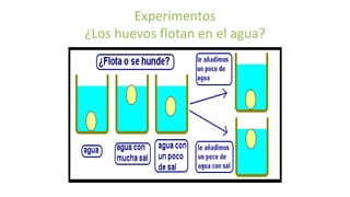 Experimentos
¿Los huevos flotan en el agua?
 