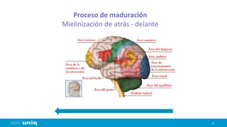 8
Proceso de maduración
Mielinización de atrás - delante
 