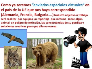 Como ya seremos “enviados especiales virtuales” en 
el país de la UE que nos haya correspondido 
(Alemania, Francia, Bulgaria….) Nuestro objetivo o trabajo 
será realizar por equipos un reportaje que informe sobre algún 
animal en peligro de extinción, las consecuencias de su perdida y 
soluciones creativas para que ello no ocurra. 
 