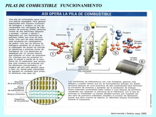 PILAS DE COMBUSTIBLE FUNCIONAMIENTO

 