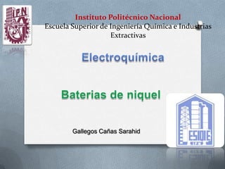 Instituto Politécnico Nacional
Escuela Superior de Ingeniería Química e Industrias
                    Extractivas




        Gallegos Cañas Sarahid
 