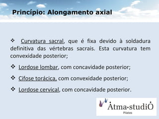Curvatura sacral , que é fixa devido à soldadura definitiva das vértebras sacrais. Esta curvatura tem convexidade posterior;    Lordose lombar , com concavidade posterior;    Cifose torácica,  com convexidade posterior; Lordose cervical , com concavidade posterior. (KAPANDJI, 1987, VOL 3) ‏ Princípio: Alongamento axial 