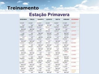 Treinamento 