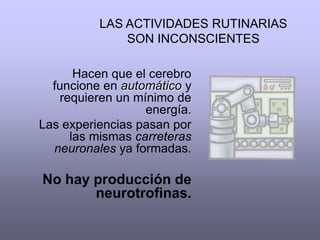 Esto sucede por una sencilla razón: falta de uso. Es muy sencillo,  así como se atrofia un músculo sin uso, las dentritas también se   atrofian si no se conectan con frecuencia, y la habilidad del cerebro para meter nueva información se reduce. Es cierto, el ejercicio ayuda mucho a alertar la mente; también hay vitaminas y medicinas que aumentan y fortalecen la memoria.Sin embargo, nada como hacer que nuestro   cerebro fabrique su propio alimento: Las neurotrofinas. 