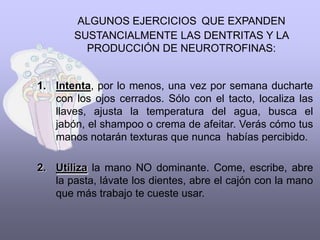 LAS NEUROTROFINASSon moléculas que producen y secretan las células nerviosas, y actúan como alimento para mantenerse saludables. Entre más activas estén las células del cerebro, más cantidad de neurotrofinas producen y esto genera más conexiones entre las distintas áreas del cerebro. 