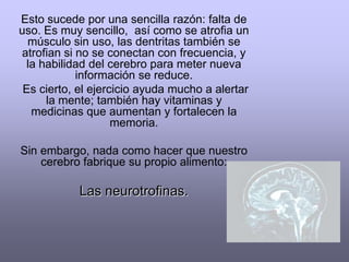 Mis llaves. ¿dónde las dejé? 