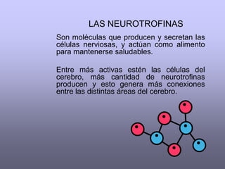¿En qué piso me estacioné? Pero nada como cuando exclamamos   ¡Me robaron el coche ! , sin darnos cuenta de que salimos por la   puerta equivocada del centro comercial. 
