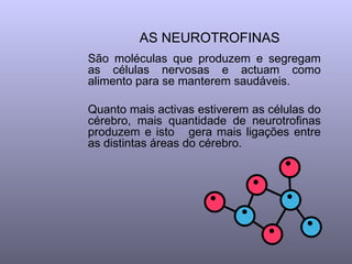 AS NEUROTROFINAS   São moléculas que produzem e segregam as células nervosas e actuam como alimento para se manterem saudáveis.  Quanto mais activas estiverem as células do cérebro, mais quantidade de neurotrofinas produzem e isto  gera mais ligações entre as distintas áreas do cérebro.  