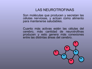 LAS NEUROTROFINAS
Son moléculas que producen y secretan las
células nerviosas, y actúan como alimento
para mantenerse saludables.

Cuanto más activas estén las células del
cerebro, más cantidad de neurotrofinas
producen y esto genera más conexiones
entre las distintas áreas del cerebro.
 