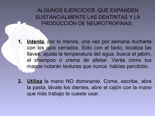 ALGUNOS EJERCICIOS QUE EXPANDEN
SUSTANCIALMENTE LAS DENTRITAS Y LA
PRODUCCIÓN DE NEUROTROFINAS:
1. Intenta, por lo menos, una vez por semana ducharte
Intenta
con los ojos cerrados. Sólo con el tacto, localiza las
llaves, ajusta la temperatura del agua, busca el jabón,
el shampoo o crema de afeitar. Verás cómo tus
manos notarán texturas que nunca habías percibido.
2. Utiliza la mano NO dominante. Come, escribe, abre
la pasta, lávate los dientes, abre el cajón con la mano
que más trabajo te cueste usar.

 
