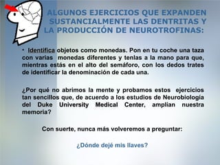 ALGUNOS EJERCICIOS QUE EXPANDEN SUSTANCIALMENTE LAS DENTRITAS Y LA PRODUCCIÓN DE NEUROTROFINAS:   <ul><li>Identifica   obj...