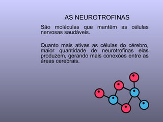 AS NEUROTROFINAS
São moléculas que mantêm as células
nervosas saudáveis.

Quanto mais ativas as células do cérebro,
maior quantidade de neurotrofinas elas
produzem, gerando mais conexões entre as
áreas cerebrais.
 