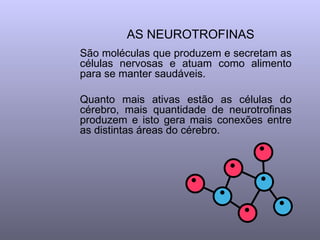 AS NEUROTROFINAS   São moléculas que produzem e secretam as células nervosas e atuam como alimento para se manter saudáveis.  Quanto mais ativas estão as células do cérebro, mais quantidade de neurotrofinas produzem e isto gera mais conexões entre as distintas áreas do cérebro.  