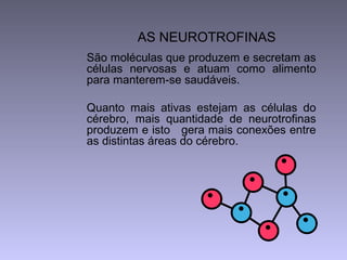 AS NEUROTROFINAS
São moléculas que produzem e secretam as
células nervosas e atuam como alimento
para manterem-se saudáveis.
Quanto mais ativas estejam as células do
cérebro, mais quantidade de neurotrofinas
produzem e isto gera mais conexões entre
as distintas áreas do cérebro.
 