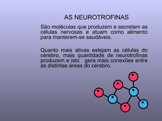 AS NEUROTROFINAS   São moléculas que produzem e secretam as células nervosas e atuam como alimento para manterem-se saudáveis.  Quanto mais ativas estejam as células do cérebro, mais quantidade de neurotrofinas produzem e isto  gera mais conexões entre as distintas áreas do cérebro.  