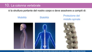 10. La colonna vertebrale
Workshop di “Postura e Pilates” - Dott.ssa Santina Grande
Stabilità
è la struttura portante del ...