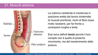 21. Muscoli addome
La colonna vertebrale è mantenuta in
posizione eretta dal lavoro ininterrotto
di muscoli pronfondi, ric...