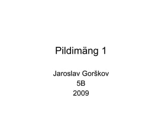 Pildimäng 1 Jaroslav Gorškov 5B 2009 