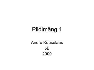 Pildimäng 1 Andro Kuuselaas 5B 2009 