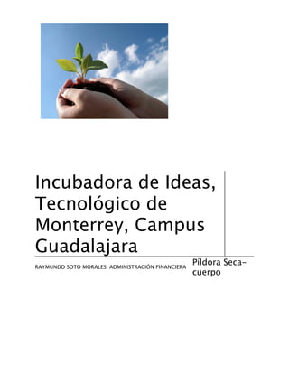 Incubadora de Ideas,
Tecnológico de
Monterrey, Campus
Guadalajara
                                                   Píldora Seca-
RAYMUNDO SOTO MORALES, ADMINISTRACIÓN FINANCIERA
                                                   cuerpo
 
