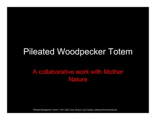 Pileated Woodpecker Totem

  A collaborative work with Mother
               Nature



  Pileated Woodpecker Totem © 2011 Bob Turan, Beaver Lane Studios, bobturan@rocketmail.com
 