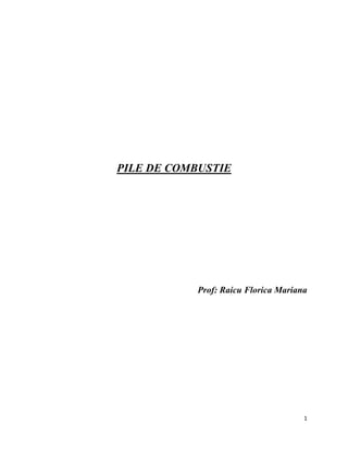 1
PILE DE COMBUSTIE
Prof: Raicu Florica Mariana
 