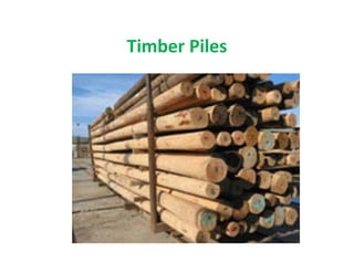 Timber Piles
 