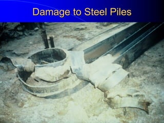 Damage to Steel PilesDamage to Steel Piles
 