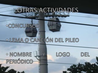  CONFORMACIÓN DE COMITÉS PARA SU ELABORACIÓN