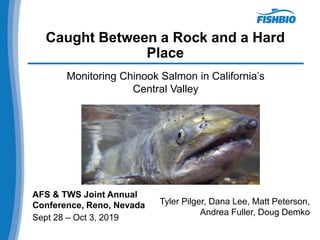Caught Between a Rock and a Hard
Place
Monitoring Chinook Salmon in California’s
Central Valley
AFS & TWS Joint Annual
Conference, Reno, Nevada
Sept 28 – Oct 3, 2019
Tyler Pilger, Dana Lee, Matt Peterson,
Andrea Fuller, Doug Demko
 