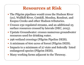 Resources at Risk:
Drinking Water Supplies
 Over 100,000 people draw their water from the Hudson River
(Poughkeepsie, Llo...