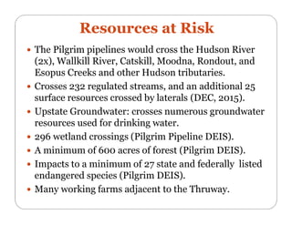 Pilgrim Pipelines 101 webinar 