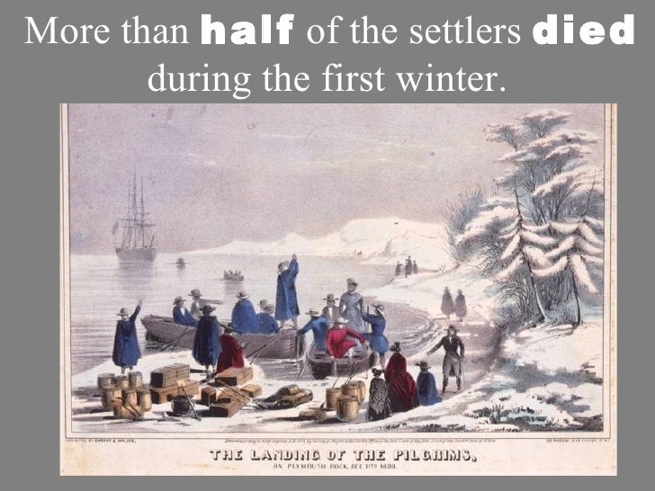 where did the pilgrims settled