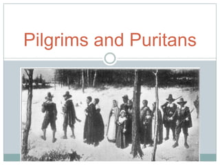 Pilgrims and Puritans 