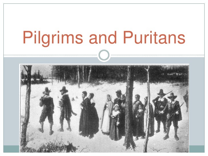 pilgrims vs puritans
