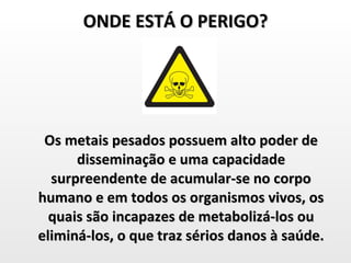 ONDE ESTÁ O PERIGO? Os metais pesados possuem alto poder de disseminação e uma capacidade surpreendente de acumular-se no corpo humano e em todos os organismos vivos, os quais são incapazes de metabolizá-los ou eliminá-los, o que traz sérios danos à saúde. 