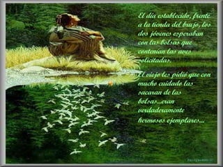 El día establecido, frente a la tienda del brujo, los dos jóvenes esperaban con las bolsas que contenían las aves solicitadas. El viejo les pidió que con mucho cuidado las sacaran de las bolsas...eran verdaderamente hermosos ejemplares ... 