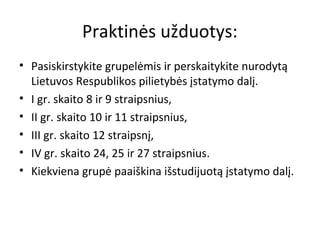 Praktinės užduotys:
• Pasiskirstykite grupelėmis ir perskaitykite nurodytą
Lietuvos Respublikos pilietybės įstatymo dalį.
• I gr. skaito 8 ir 9 straipsnius,
• II gr. skaito 10 ir 11 straipsnius,
• III gr. skaito 12 straipsnį,
• IV gr. skaito 24, 25 ir 27 straipsnius.
• Kiekviena grupė paaiškina išstudijuotą įstatymo dalį.
 