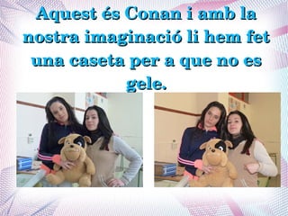 Aquest és Conan i amb la 
nostra imaginació li hem fet 
 una caseta per a que no es 
           gele.
 