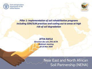 ATTIA RAFLA
Direction des sols /DG-ACTA
Webinair meeting
18-19 Nov 2020
Pillar 1: Implementation of soil rehabilitation programs
including SSM/SLM practices and scaling out to areas at high
risk of soil degradation
 