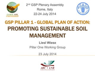 GSP PILLAR 1 - GLOBAL PLAN OF ACTION:
PROMOTING SUSTAINABLE SOIL
MANAGEMENT
2nd GSP Plenary Assembly
Rome, Italy
22-24 July 2014
Liesl Wiese
Pillar One Working Group
23 July 2014
 